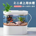LEDライトフィルターポンプ付き水槽セットアクアリウム コードレス 水族館 オーナメント 自由研究 LED照明 水槽 セット卓上 玄関 リビング LEDランプ ...