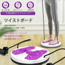 ツイストボード ダイエット バランス ねじり運動 体幹 回転軸 トレーニング ヒップアップ 器具 ウエストダイエット お腹 ツイスターボード エクササイズ ウエストツイスト スピンボード スピントレーナー ツイスト シェイプアップ 足つぼ 運動 母の日 プレゼント(4)