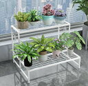 フラワーラック フラワースタンド 2段 幅(80cm)奥行き(44cm)高さ(44cm) 金属製 多肉植物 棚 花台 園芸ラック ガーデン 植物小屋 植木鉢スタンド 鉢植え 盆栽棚 園芸 花棚 ベランダ/屋外/屋内 カントリー ベランダ 大容量 組み立て式 フレンチ 北欧