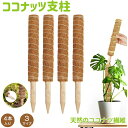 ココスティック 4点セット モンステラ支柱 観葉植物 支柱 園芸支柱 植物 ガーデニング用 花ささえ ココナッツ支柱 植物サポート つる性植物 トマト ポトス ...