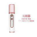 フェイススチーマー ハンディミスト ハンディ加湿器 美顔器 手持ち 小型 乾燥対策 加湿器 小型 携帯 フェイススチーマー ミニスチーマー ハンディーミスト 保湿 補水 スキンケア フェイススチーマー フェイス スキンケア 乾燥 乾燥肌 敏感肌 脂性肌 潤い うるおい(2)