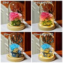 プリザーブドフラワー カーネーション 永遠の花 永生花 枯れない花 ギフト プレゼント ガラスポット ドライフラワー ボックス付 LEDライト付 卒業式 母の日 成人式 成人 誕生日 結婚祝い 母 彼女 結婚記念日 両親 退職祝い 結婚式 還暦祝い(4)
