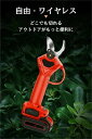 剪定ばさみ 電動 剪定バサミ 充電式 レディース 剪定鋏 コードレス 枝切り 枝切ばさみ バサミ 電動ハサミ 直径30mm 軽量 女性 庭木 枝切り 果樹用 園...