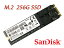 SanDisk X110 M.2 NGFF 2280 SSD SD6SN1M-256G