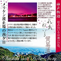 メリケン波止場の茜夕日神戸物語