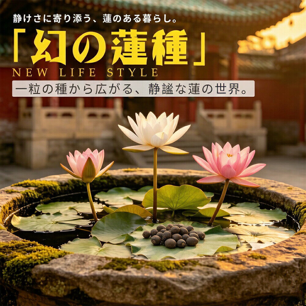 【商品名】【2点以上10%OFF】本格碗蓮 茶碗蓮の種 花の種 10粒＋予備2粒 ミニハスの種 小鉢向け ハスの種 蓮の種 スイレンの種 水に入れるだけ 栽培セット 日本語説明書 初心者 発芽サポート 小型品種 ミニハス 室内 ベランダ ビオトープ 水鉢 メダカ鉢【価格】1580円【商品説明】 商品情報 商品名稱 茶碗蓮の種 商品仕様 ・セット内容：10粒＋予備2粒 ・ハスを種から育てる栽培キットです。 商品紹介 ・【コンパクトに楽しめる「碗蓮」】 茶碗蓮の種（ハスの種）・ミニ蓮の種。一般的な大型の蓮に比べてコンパクトに育てやすく、睡蓮鉢や小さめの容器など、ベランダやお庭で蓮のある暮らしを楽しみたい方にもおすすめです。 ・【水鉢・ビオトープにもおすすめ】 水に浸して発芽させた後、そのまま水だけで育てることもできます。ただし、土から得られる栄養が不足すると、葉は育っても花芽がつきにくくなる場合があります。花を楽しみたい場合は、池の泥・田んぼの土・粘土質の土・ハス用培養土などを使って栽培するのがおすすめです。 ・【日光をたっぷり浴びて元気に生長】 葉が出てきたら、1日68時間程度を目安に日光が当たる場所で管理するのがおすすめ。日当たりの良い環境で、葉が水面に広がっていく姿を楽しめます。 ・【葉から花まで、季節の変化を楽しむ】 葉が出てきたら、1日68時間程度を目安に日光が当たる場所で管理するのがおすすめ。2030℃程度の暖かい環境でよく生長し、開花には22℃以上が目安となります。 ・【水質改善にも役立つ水生植物】 水中の余分な栄養を吸収する特性があり、水質バランスの維持をサポートします。 魚やエビと共存できる水生植物として、生態系の一部としても機能します。 自然に近い環境を再現したいビオトープやアクアリウムにもおすすめです。 注意 ※ 本商品は自然環境下で栽培された種のため、他の品種と交配している可能性があり、花の色や形が写真と異なる場合があります。 その点も含めてお楽しみください。 ※種が水に浮く場合は内部に空気が含まれている可能性がありますが、10日ほど様子を見てください。 ※植物の種子のため、発芽・成長・開花は気温、水温、日照、管理環境により差があります。 発芽や開花を保証するものではありません。 関連キーワード ノーブランド品睡蓮の種ハスの種睡蓮すいれんのたねワイル 種スイレンの種蓮の種バチワイルの種 睡蓮茶碗蓮の種睡蓮種睡蓮 種ミニ睡蓮の種蓮 種ミニハスの種睡蓮 の 種ハスハスの種 水で育つミニはすの種ミニすいれんの種ほうせんか 種ハスの花 種水蓮の種スイレンミニ睡蓮睡蓮の種 水耕栽培ミニ蓮の種蓮の種 水栽培ハス の種【商品名】【2点以上10%OFF】本格碗蓮 茶碗蓮の種 花の種 10粒＋予備2粒 ミニハスの種 小鉢向け ハスの種 蓮の種 スイレンの種 水に入れるだけ 栽培セット 日本語説明書 初心者 発芽サポート 小型品種 ミニハス 室内 ベランダ ビオトープ 水鉢 メダカ鉢【価格】1580円【商品説明】★★ MoriLane★★ ＼＼厳選アイテムで、暮らしにぬくもりを／／