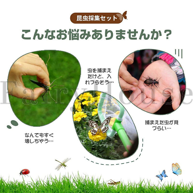 セレクトショップHARUの【6%OFFクーポン】昆虫観察ボックス 5点セット 昆虫採集キット 学生用アウトドア探検キット 拡大鏡虫かご 昆虫飼育箱 虫取り 低学年 小学生 ピンセット 自然観察 探査キット 昆虫ケージ むしかご プラケース 教育 男の子 女の子 夏休み 子供 屋外 自由研究 プレゼント｜アングル2