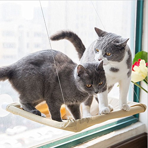乐天商城 - 猫 窓用 ハンモック 吸盤タイプ 窓枠座り台 取り付け簡単 耐荷重（約15kg程度） 54×32cm 猫用品