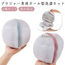 洗濯ネット 2個セット ブラジャー用 洗濯ネット 洗濯 ボール型 ブラジャーネット ランドリーネット ブラ 崩れ防止 型崩れ 旅行 下着