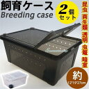 お徳用 飼育ケース 2個セット 飼育ケージ 飼育容器 中 Mサイズ たらい付き カブトムシ クワガタムシ 2色 昆虫 透明 虫篭 暗室 幼虫 夏休み