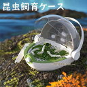 昆虫飼育ケース カイコ観察 蚕 カブト 蝶 虫かご 昆虫箱 昆虫カプセル クリア 観察ケース 昆虫採集 標本収集 宇宙船デザイン ギフト プレゼント 七五三 お...