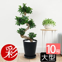 https://thumbnail.image.rakuten.co.jp/@0_mall/saisyokukenbi/cabinet/tmb/cr100001_tmb.jpg