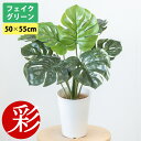 人工観葉植物 フェイクグリーン モンステラ プラ鉢ロングポット 高さ50cm おしゃれ インテリア 洗面所 玄関 オフィス 水やり不要の枯れない造花