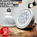 観葉植物用育成ライト PLANTS NEXLIGHT PAR30 LED電球 E26口金用 100V 10.5W 植物育成ライト 白色光 電球色 植物育成ライト 本体色ブラック/ホワイト 育成灯 室内ライト 自家栽培用 園芸用 植物用 育成用LED 正規販売店