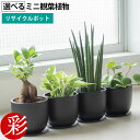 商品画像3