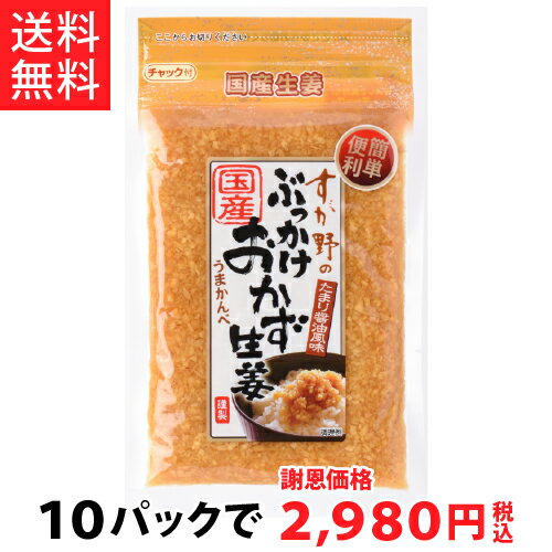 【送料無料!!】国産ぶっかけおかず生姜120g（10パック）