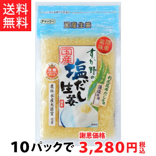 【送料無料!!】国産塩だし生姜110g(10パック)