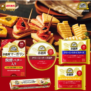 小岩井 人気の乳製品 5点セット 【送料無料】 【ギフト】 贈答 贈り物 ギフト プレゼント お歳暮 お礼 お返し お祝い 誕生日 母の日 内祝い クリスマス アソートセット 乳製品セット 詰め合わせ 食べ比べ おつまみ 小岩井乳業 koiwai