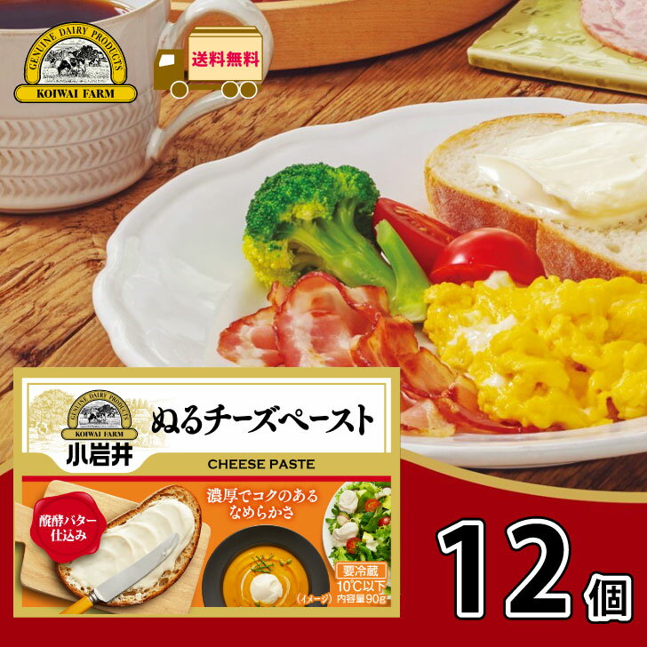 小岩井 ぬるチーズペースト 12個 【送料無料】 90g ナチュラルチーズ チェダーチーズ チーズペースト 醗酵バター 濃厚 まとめ買い 箱買い 小岩井乳業 一...