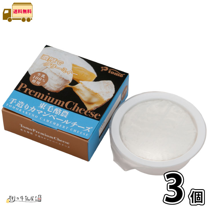 東毛酪農 手造りカマンベールチーズ 3個 【送料無料】 塩分少なめ 密封パック ソフトチーズ ナチュラルチーズ 国産生乳 まとめ買い 一般製品