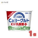 由布院ヨーグルト480g×6個セット 由布院チーズ工房 【送料無料】【ギフト可】 SAYU