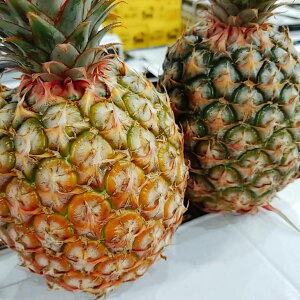 大人気!お早めに!!軸まで食べれるまるごとパイン(3個 台湾)