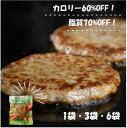 【1袋・3袋・6袋】サラダバーグ ダイエット 高タンパク 低脂肪 低糖質| 食品 代替肉 大豆ミート 蒟蒻 低カロリー ヘルシー グルテンフリー