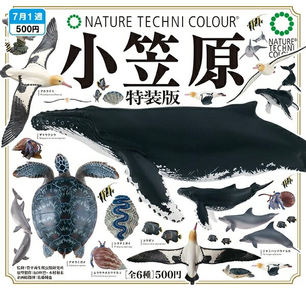 【コメントにお得情報あり‼️】SALE‼️ネイチャーテクニカラー 【最安】まとめ売り 楽天市場】ネイチャーテクニカラー(フィギュア|コレクション