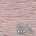 ʂr[Y [։/TOHO r[Y ʂ ۏ p  (10m) T171L  I[ sN