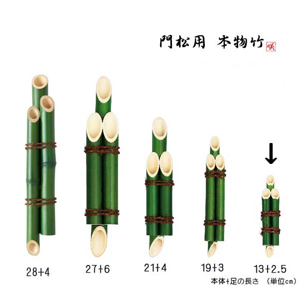 羾ݡ3)͵եǺ13cm+͵2.5cm