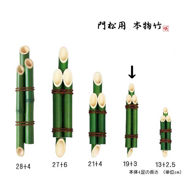 門松 竹（3本組竹 緑) 突起付 アレンジ素材 門松飾り 19cm+突起3cm丈　幅