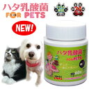 ハタ乳酸菌forPETS(60g)　ペット用乳酸菌サプリメント粉末犬用・猫用乳酸菌【宅配便送料無料（沖縄・離島除く）】