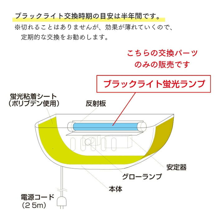 ���ϡ�����ѥ� ���身�������ʲ����ѡ˥��ϡ� ��ԥ���V �����ʥ��åȡ���ˡ��̾��Ź��̾������ˤ�����̵���ʸĿ�̾���Ͻв��Բġ˲��졦Υ�����������ۡ����᡼����ľ���ʤΤ�����������Բ�