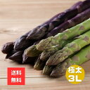 【5月上旬以降発送】極太!グリーン・パープルアスパラギフト 3Lサイズ800g 全国送料無料