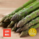 「空輸」ホワイトアスパラガス ドイツ産 500g【金曜発送】ドイツの春の国民食 シュパーゲル Spargel