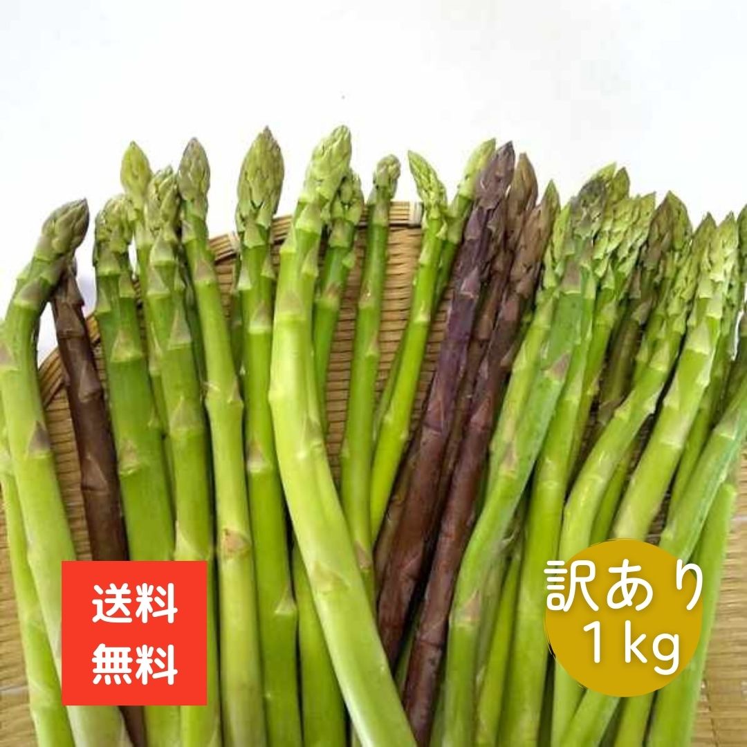 【本日発送・日時指定不可】北海道産 訳ありアスパラ1kg 全国送料無料