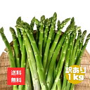 北海道産 訳ありアスパラ1kg 全国送料無料