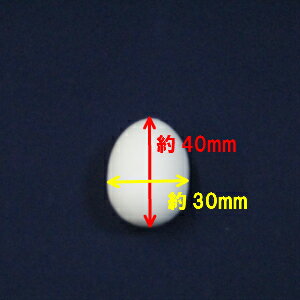 ☆エントリーでポイント最大26倍☆偽卵　20個　鳩用 おすすめ お勧め オススメ