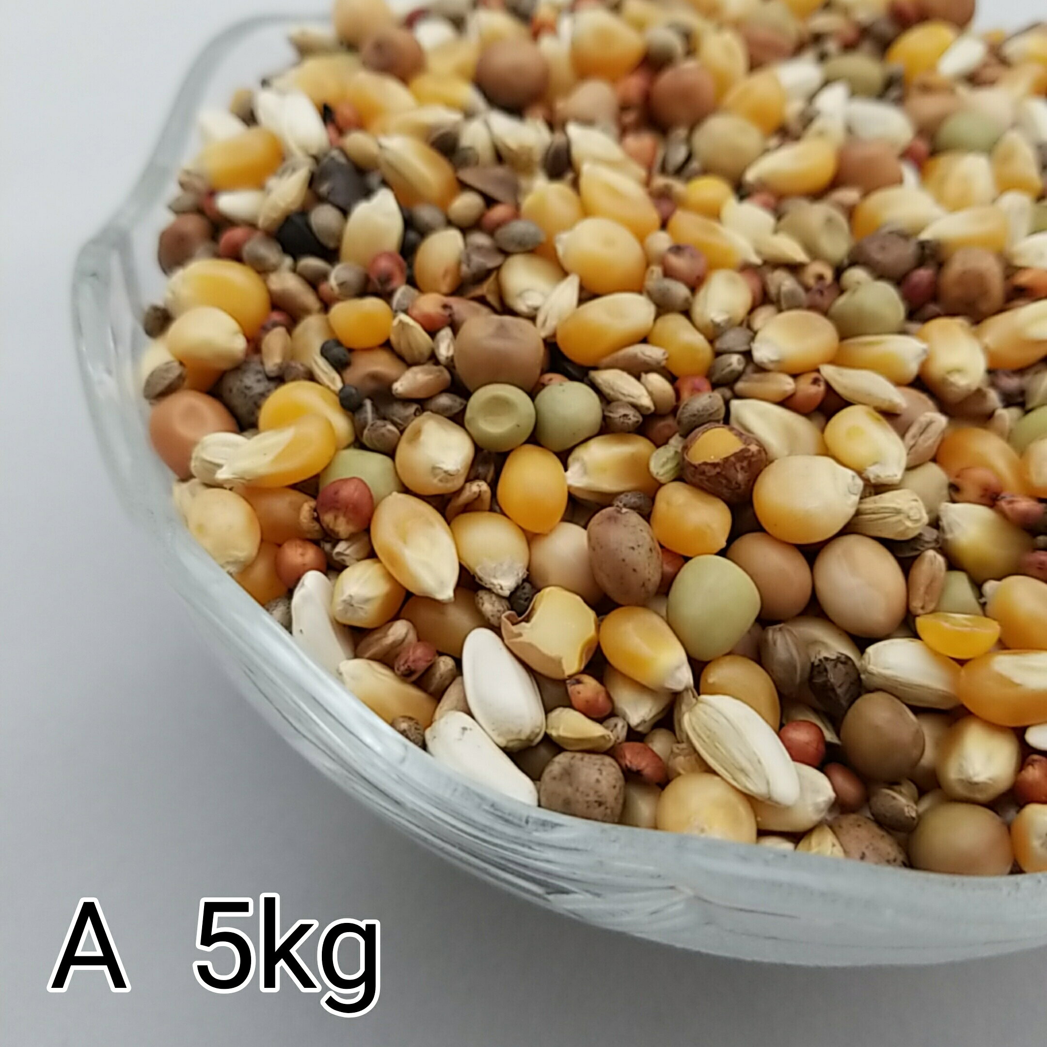 鳩のえさ 特別配合 A 5kg とうもろこし トウモロコシ 鳥 ペット 小動物 えさ 餌 エサ 鳩 ハト はと ハムスター 鳩の餌 はとのえさ ごはん おやつ おやつ おすすめ お勧め