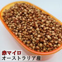 赤マイロ　オーストラリア産 800g 高