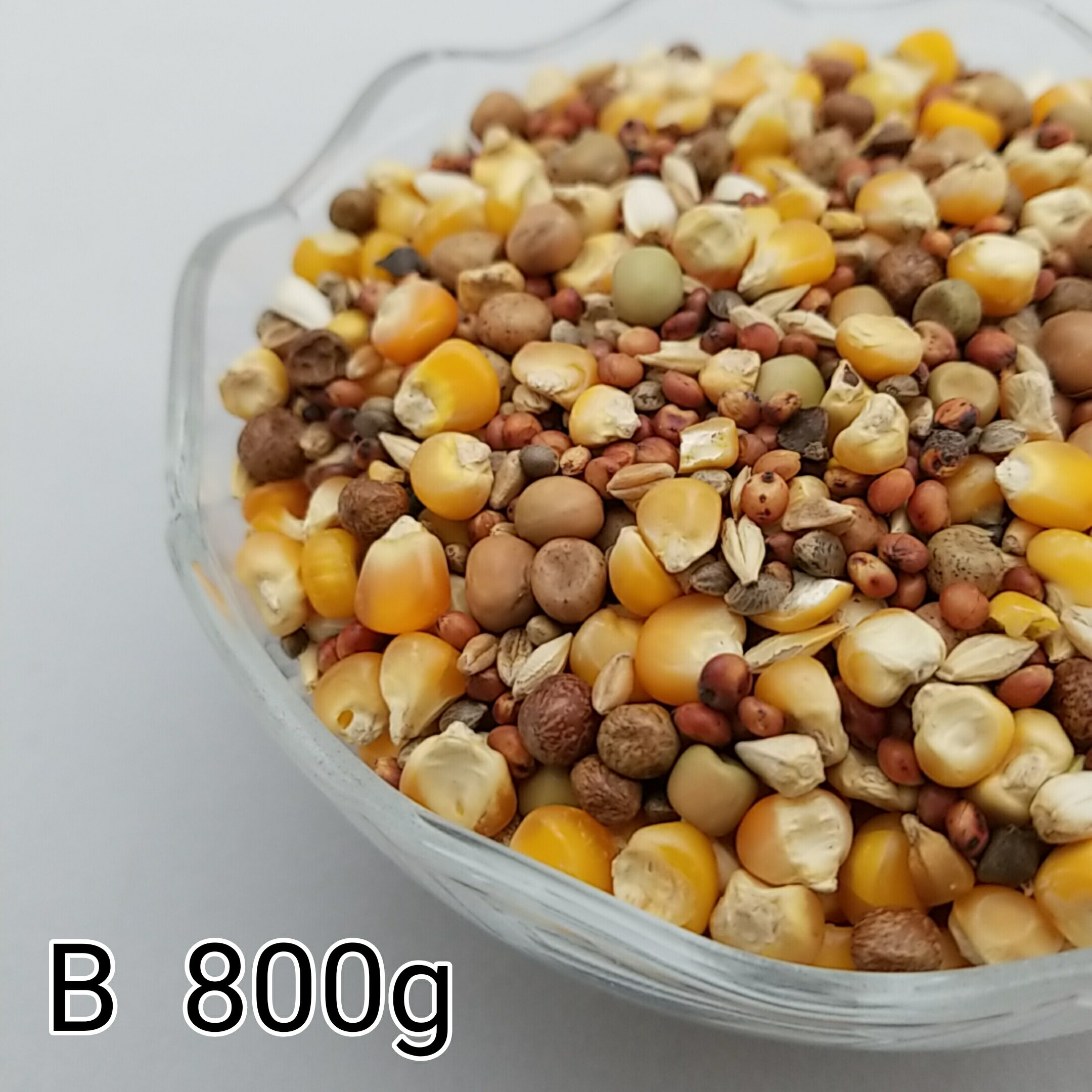 鳩のえさ 特別配合 B 800g とうもろこし トウモロコシ ペット 鳥 餌 小動物 えさ エサ 鳩 ハト はと ハ..