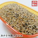 カナリヤ用ブレンド 500g 送料無料 小鳥の餌 皮付き 小鳥の主食 皮付き 文鳥 キンカチョウ インコ 中型 小鳥ブレンド コザクラ おすすめ お勧め オススメ