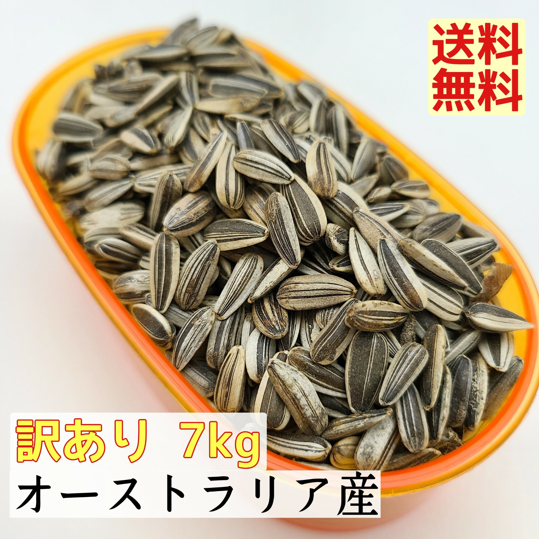 【訳あり】ひまわりの種・小粒 7kg オーストラリア産【送料無料】ヒマワリの種 ひまわり種 野鳥 オカメインコ セキセイインコ 中型インコ オウム シード ハムスター リス 向日葵 サンフラワーシード おすすめ お勧め