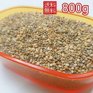 【送料無料】皮付きゴールド 800g 小鳥のえさ 小鳥の餌 皮付き インコのえさ 皮付き 文鳥 キンカチョウ インコ 中型 小鳥ブレンド コザクラ おすすめ お勧め オススメ