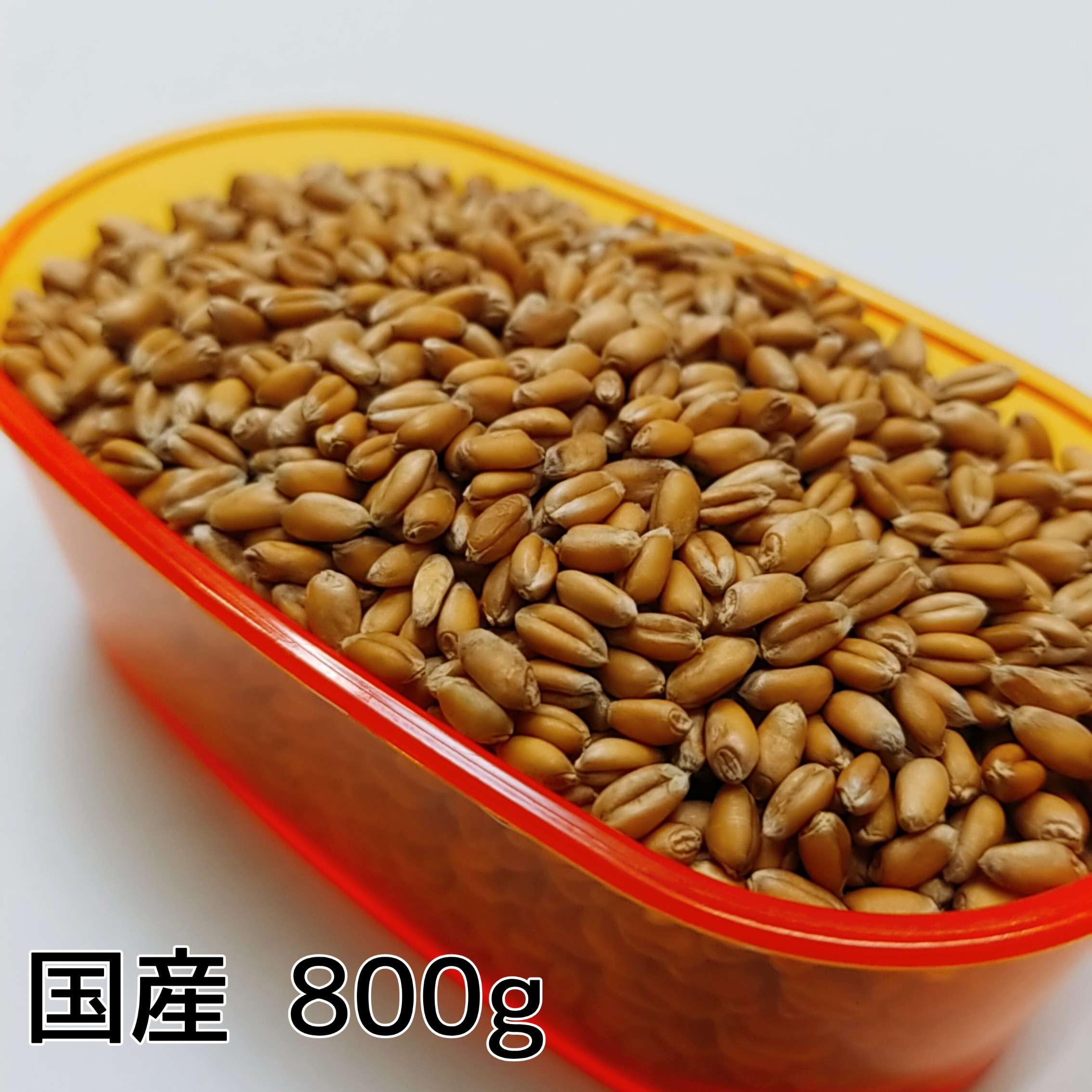 【国産】小麦 800g こむぎ 鳩のえさ 