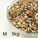 鳩のえさ 特別配合 M 5kg 鳥 餌 ペット 小動物 えさ エサ 鳩 ハト はと ハムスター 鳩の餌 はとのえさ ごはん おやつ おすすめ お勧め