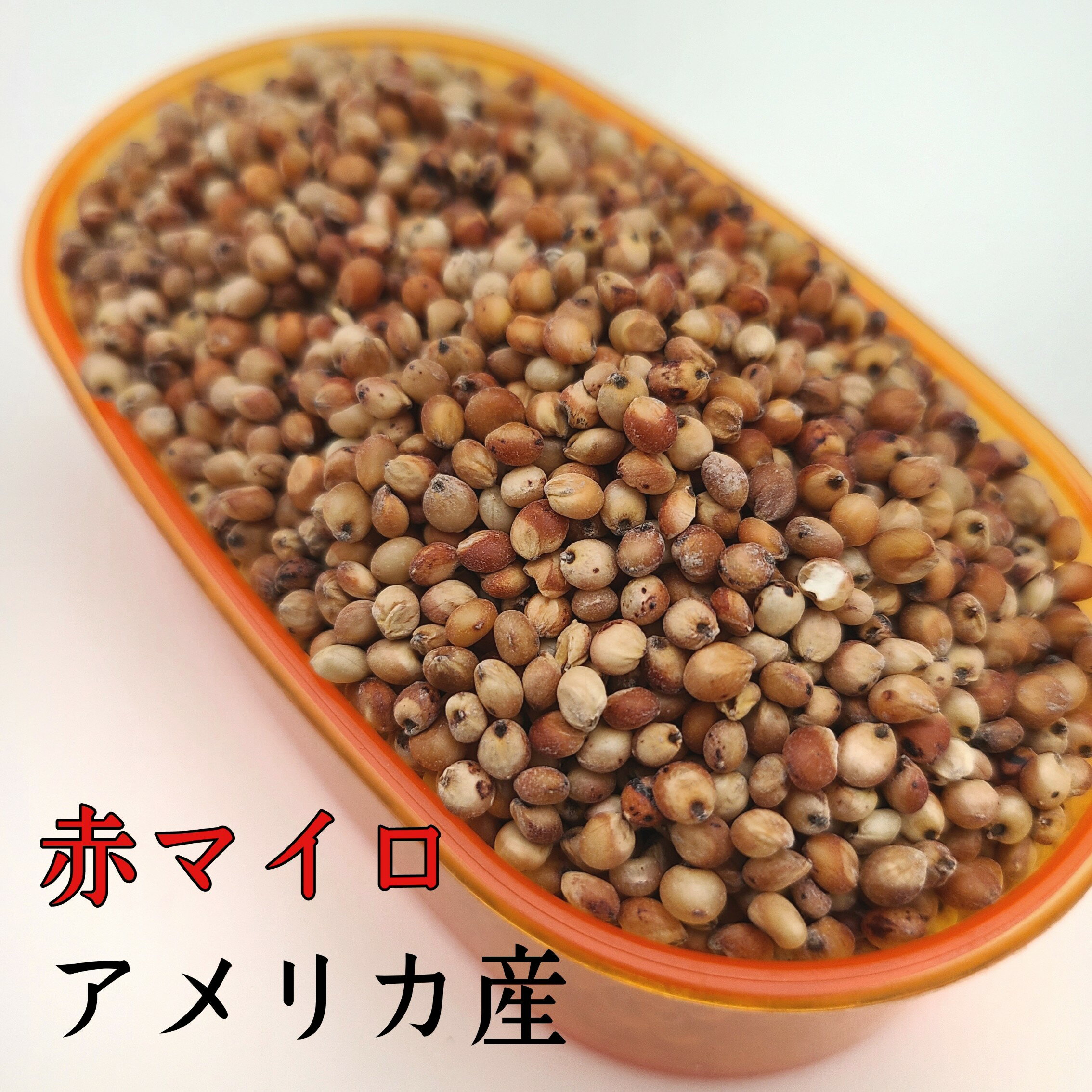 赤マイロ　アメリカ産 500g 高粱 コウリャン コーリャン モロコシ もろこし とうきび ソルガム ソルゴ..