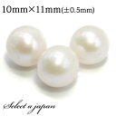 1粒売り セミラウンド パール 10mm×11mm 真珠 淡水パール バラ売り ばら売り ビーズ 穴あき 1玉売り アクセサリー パーツ ハンドメイド アクセサ...