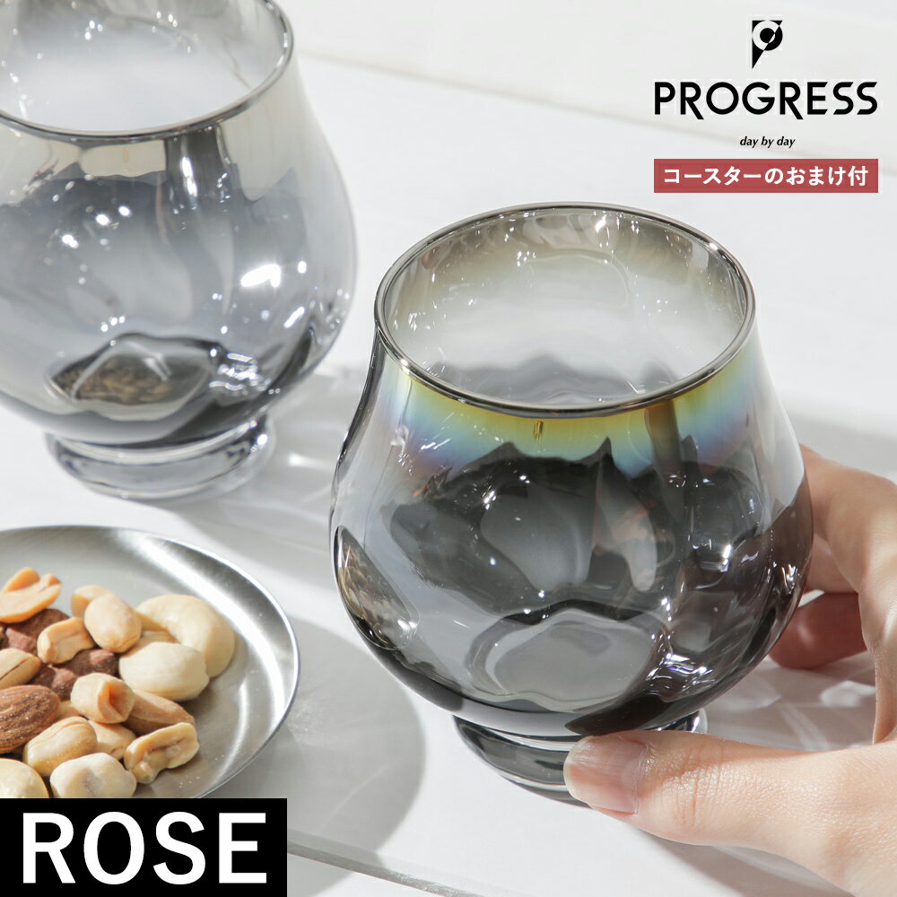 プログレス ローズ シルバー インフィニット ロックグラス PROGRESS ROSE SILVER INFINITE ガラス 純チタン ウィスキー ギフト 贈り物 記念品 周年 結婚祝い