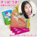 【 母の日ギフト 】ちゅるっと サジー 2週間分 個包装 スティック パウチ サジージュース 体に良い ギフト 鉄分不足 女性 鉄分補給 飲むゼリー 栄養補給 ...